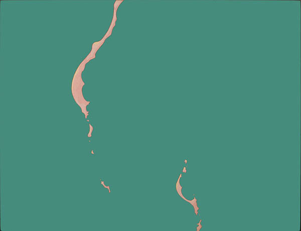 Takashi Murakami, Minyula